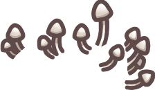 Growing White Mushrooms